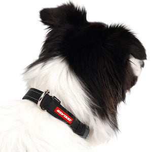 EzyDog Collar Checkmate