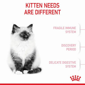 Royal Canin Kitten Sterilised Dry Food