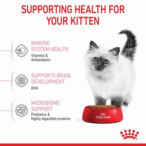 Royal Canin Kitten Sterilised Dry Food