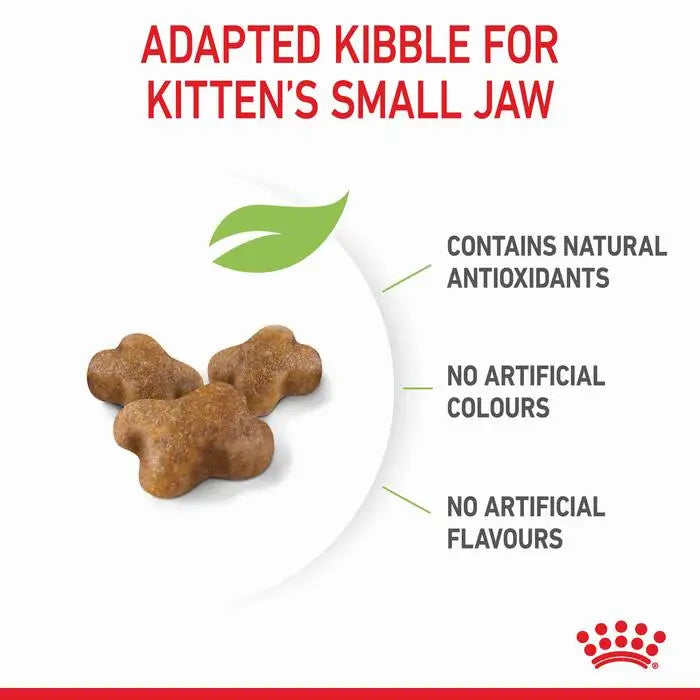 Royal Canin Kitten Sterilised Dry Food