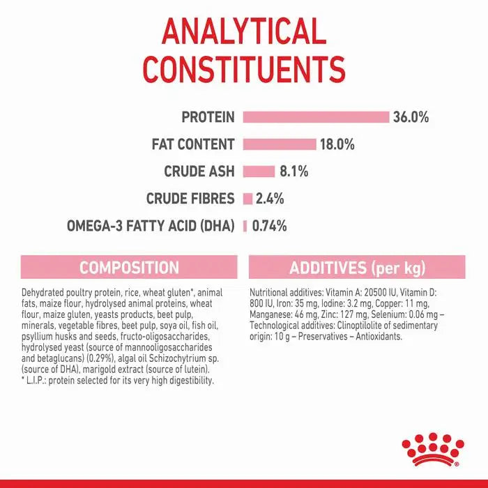 Royal Canin Kitten Sterilised Dry Food