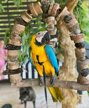 Bird Nerd Natural Macaw Swing