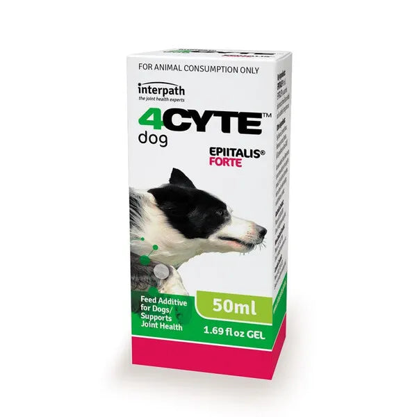 4CYTE Epiitalis Forte Gel for Dogs