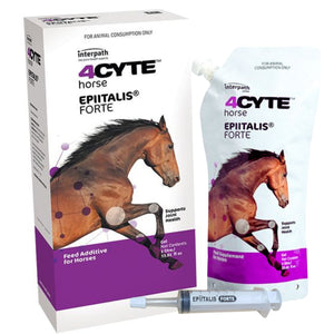4CYTE Epiitalis Forte Gel for Horses