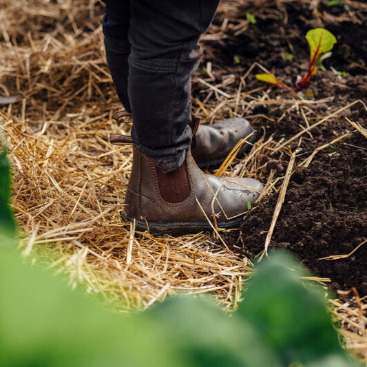 Person wearing Blundstone Boots 630 Series walking through a garden with plants and straw on the ground.