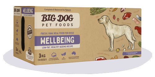 Big Dog BARF Diet Wellbeing