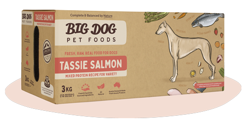 Big Dog BARF Diet Salmon
