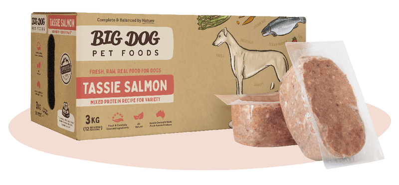 Big Dog BARF Diet Salmon