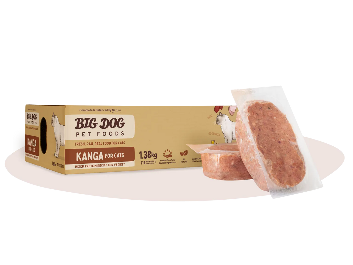 Big Dog BARF Kangaroo for Cats raw cat food – box with raw patty