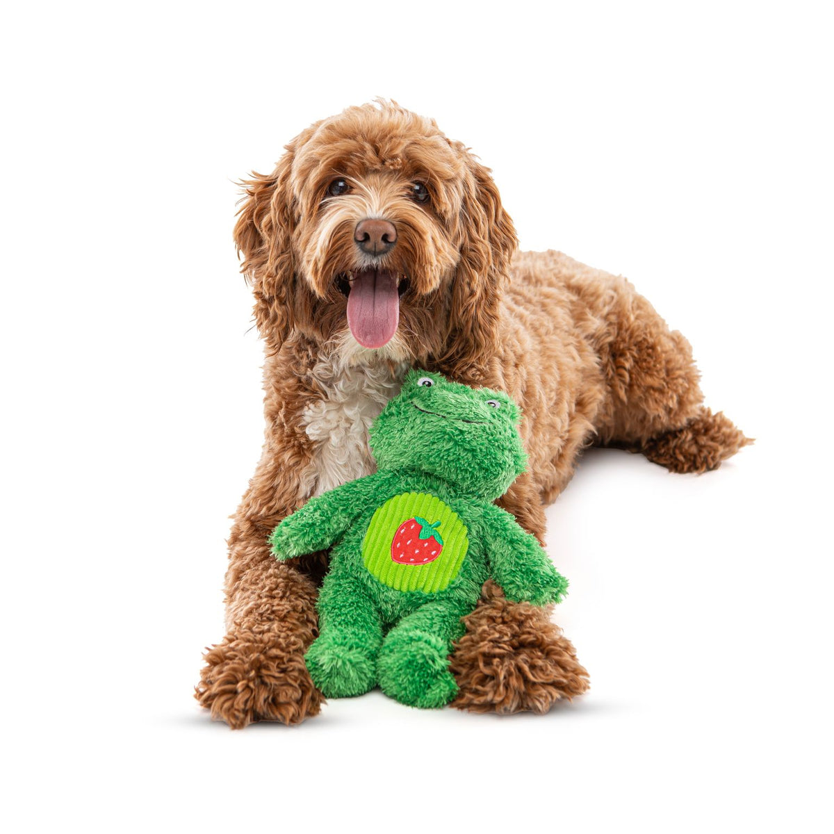 Guru Soft Scents Frog Medium Dog Toy