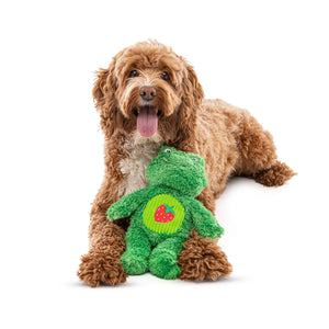 Guru Soft Scents Frog Medium Dog Toy