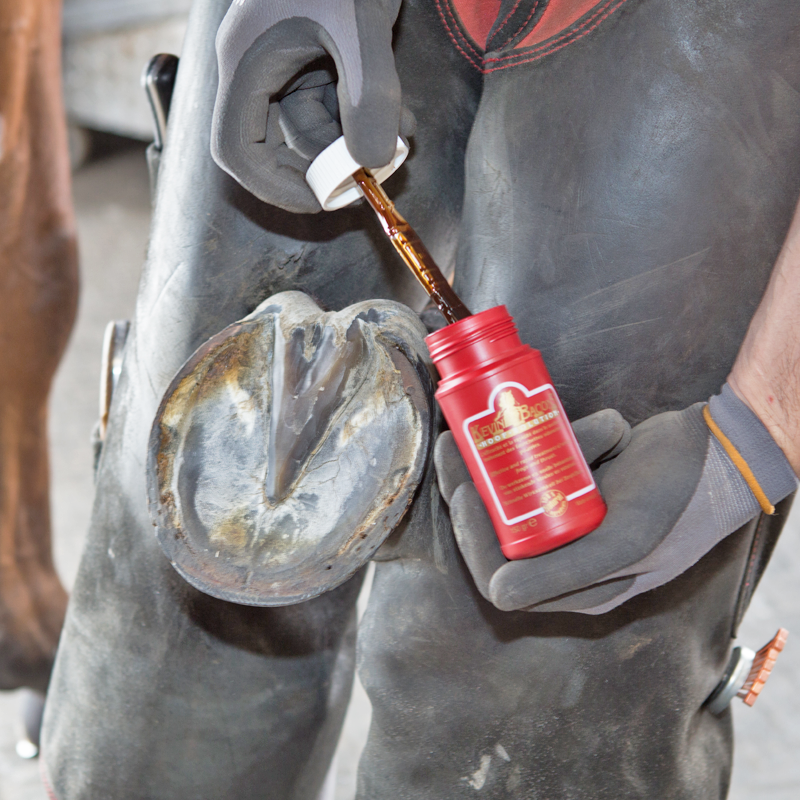 Kevin Bacon Hoof Solution
