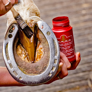 Kevin Bacon Hoof Solution