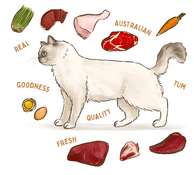 Big Dog BARF Kangaroo for Cats raw cat food – ingredients illustration