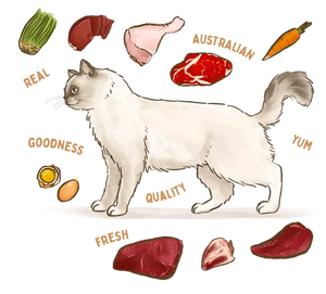 Big Dog BARF Kangaroo for Cats raw cat food – ingredients illustration