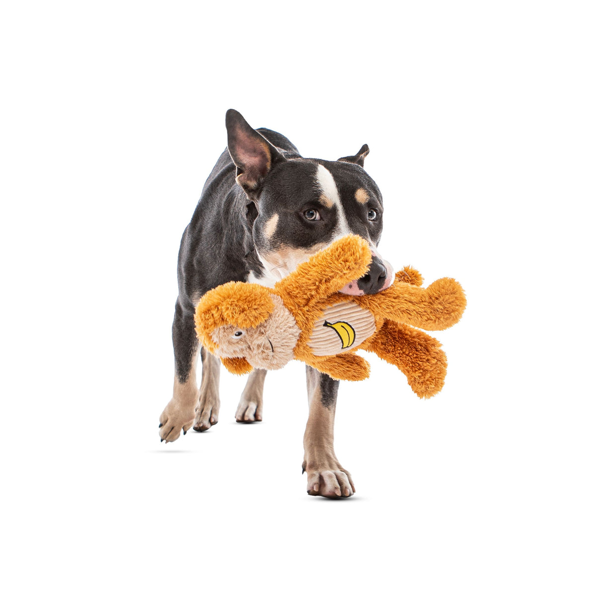 Guru Soft Scents Monkey Medium Dog Toy