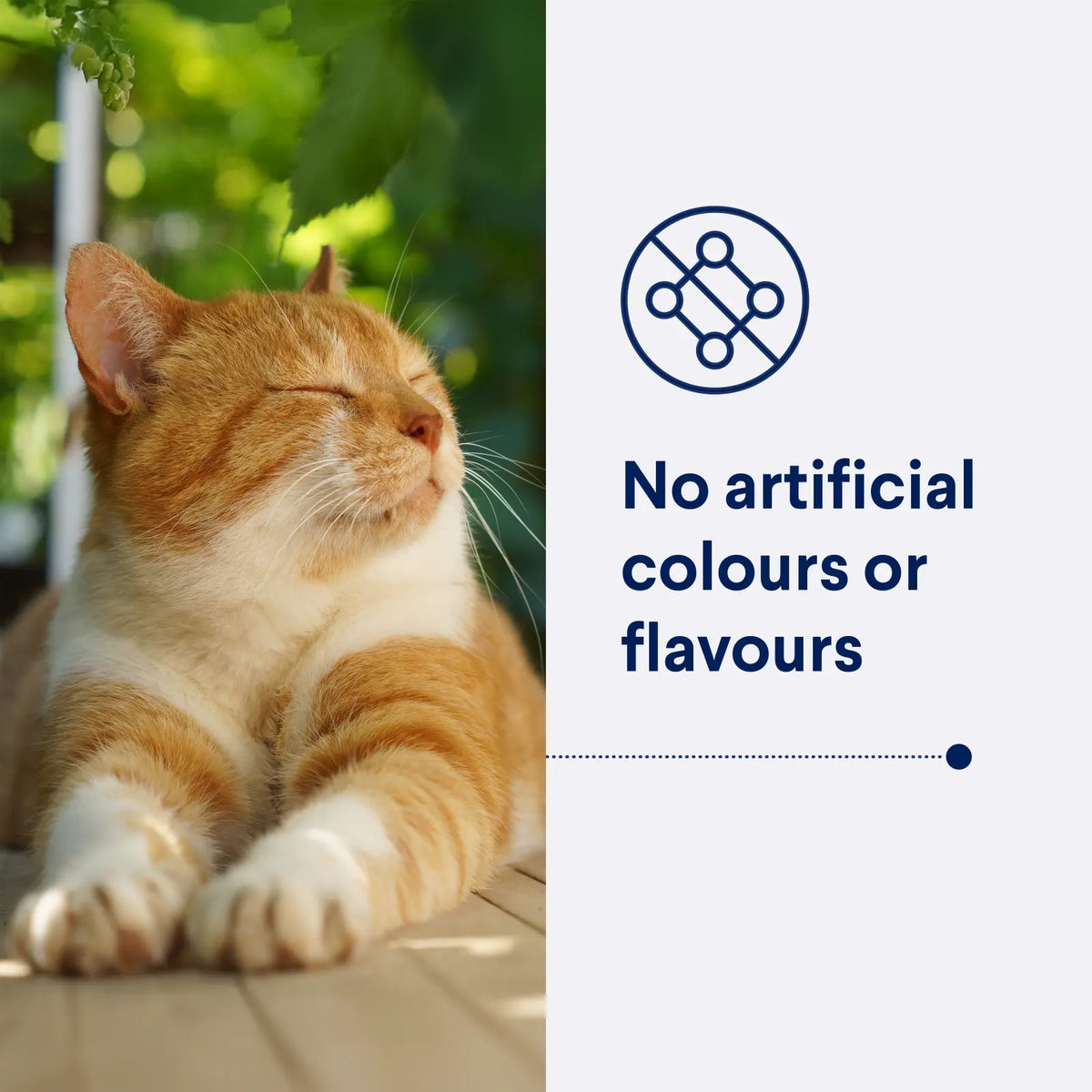 Advance Dry Cat Adult Hairball Chicken