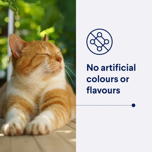 Advance Dry Cat Adult Hairball Chicken