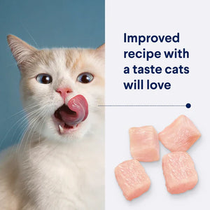 Advance Dry Cat Adult Chicken
