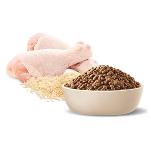Advance Dog Mature Healthy Ageing Small Breed Chicken with Rice Dry Dog Food