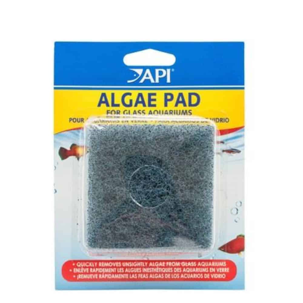 Hand Held Algae Pad For Glass