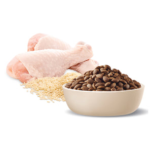 Advance Puppy Large Breed Chicken with Rice Dry Dog Food