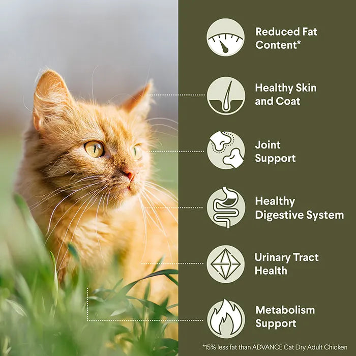 Advance Dry Cat Healthy Weight Chicken