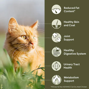 Advance Dry Cat Healthy Weight Chicken