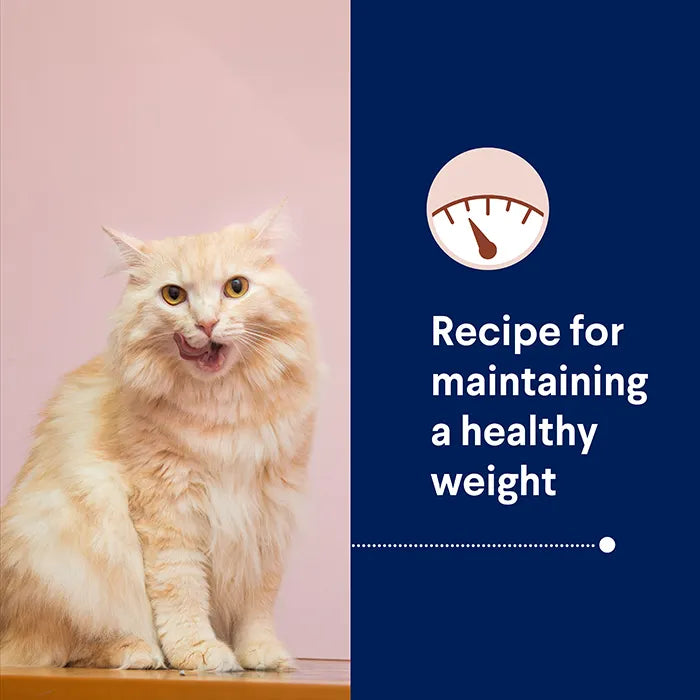 Advance Dry Cat Healthy Weight Chicken