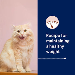 Advance Dry Cat Healthy Weight Chicken