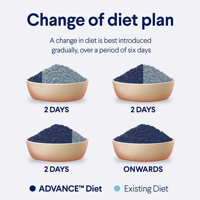 Advance Dry Cat Triple Action Dental Chicken