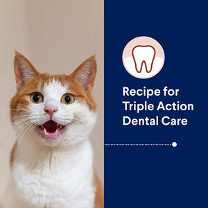 Advance Dry Cat Triple Action Dental Chicken