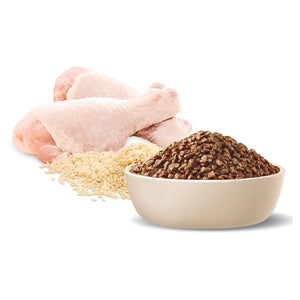 Advance Kitten Chicken with Rice Dry Food