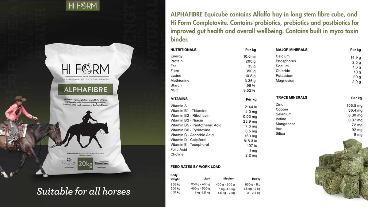 Hi Form Equicube Alphafibre