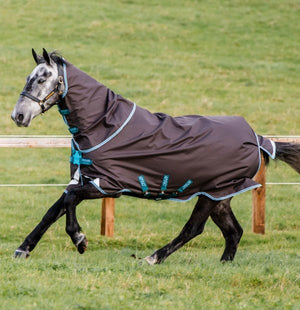 Horseware Ireland Amigo Bravo 12 Plus Turnout Lite DF