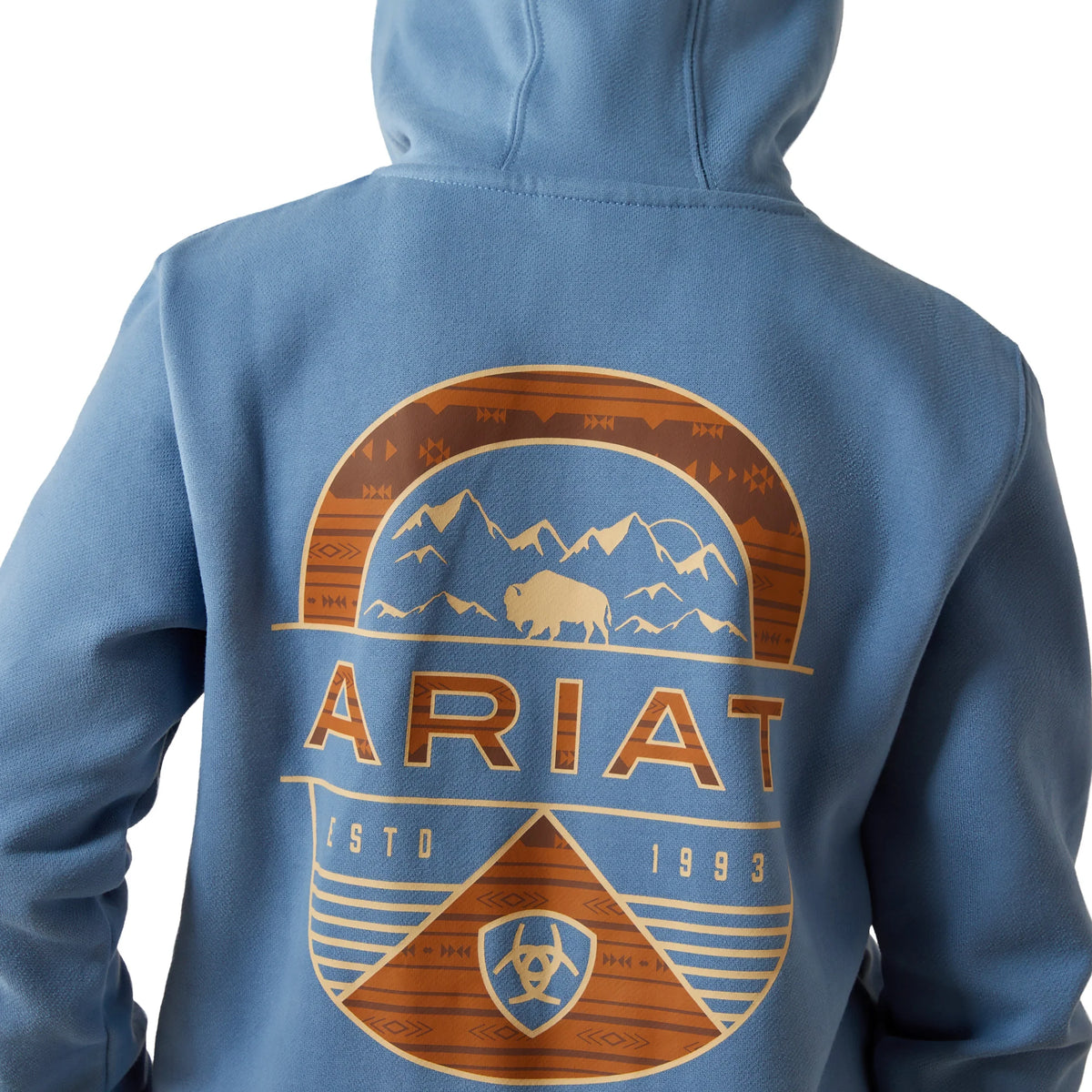 Ariat Boys Sun Valley Circle Hoodie