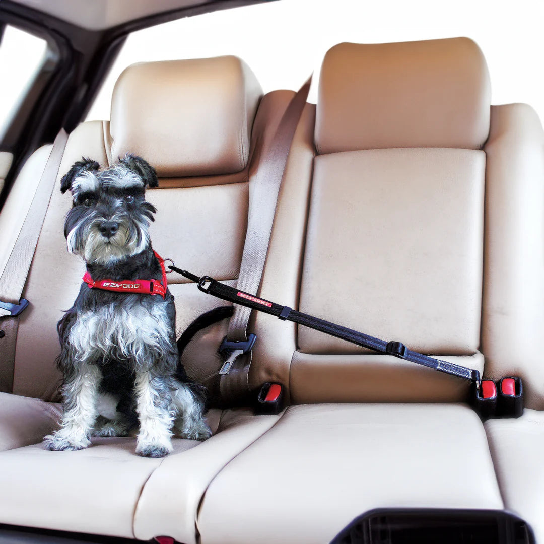 EzyDog Car Seatbelt Attachment