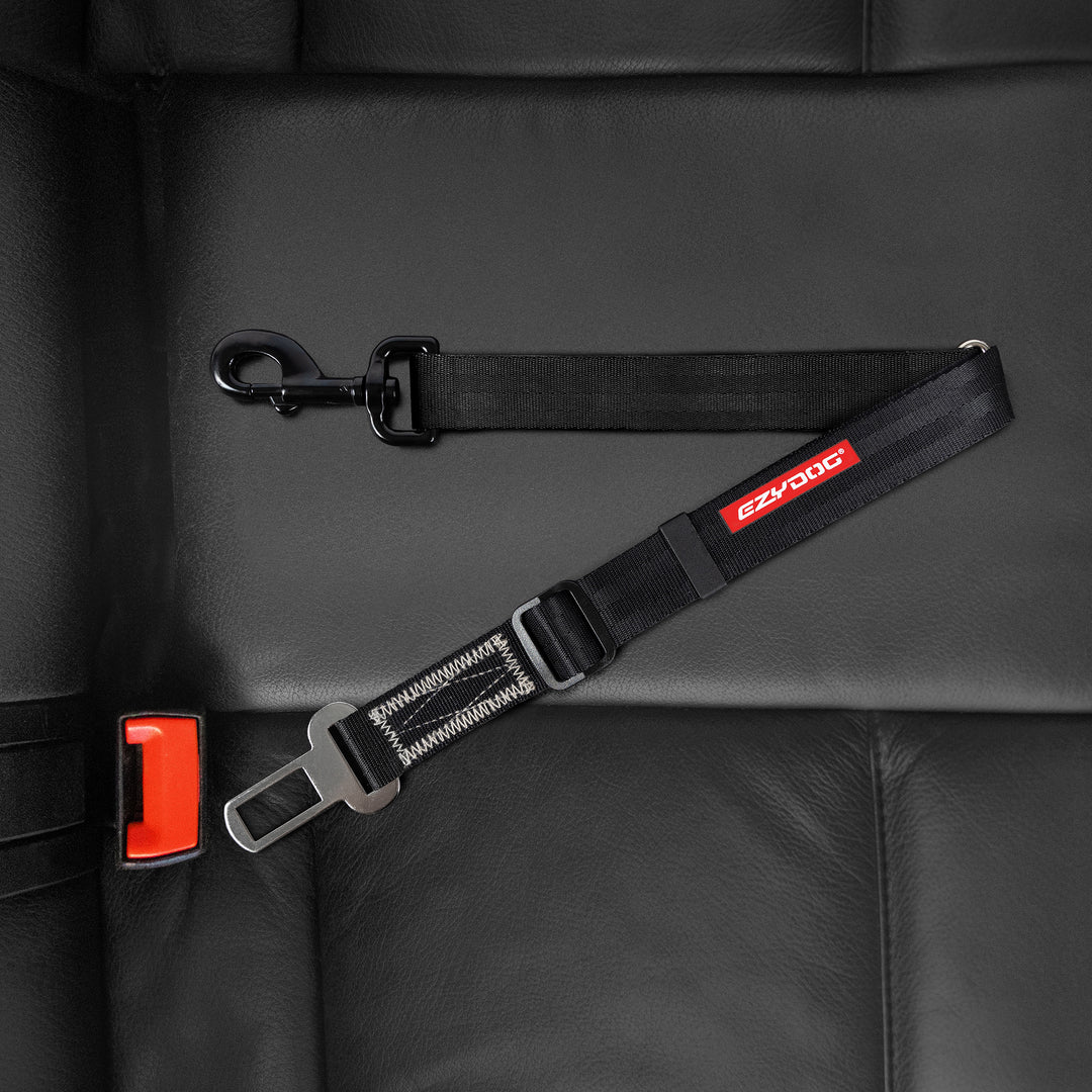 EzyDog Car Seatbelt Attachment
