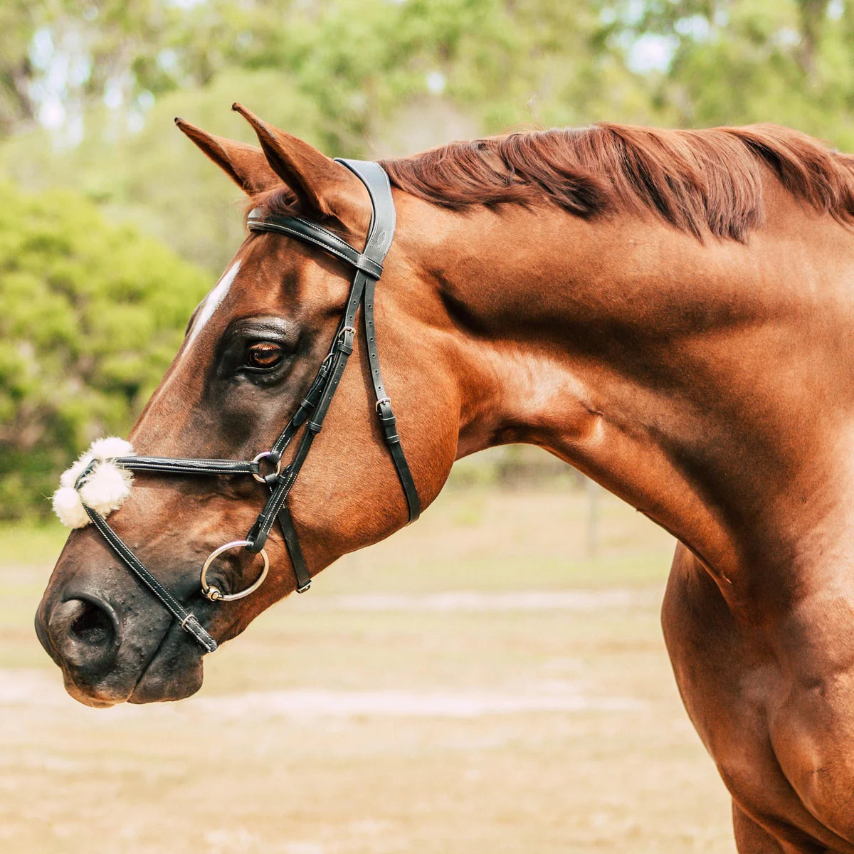 Lumiere Ava Grackle Bridle With Sheepskin
