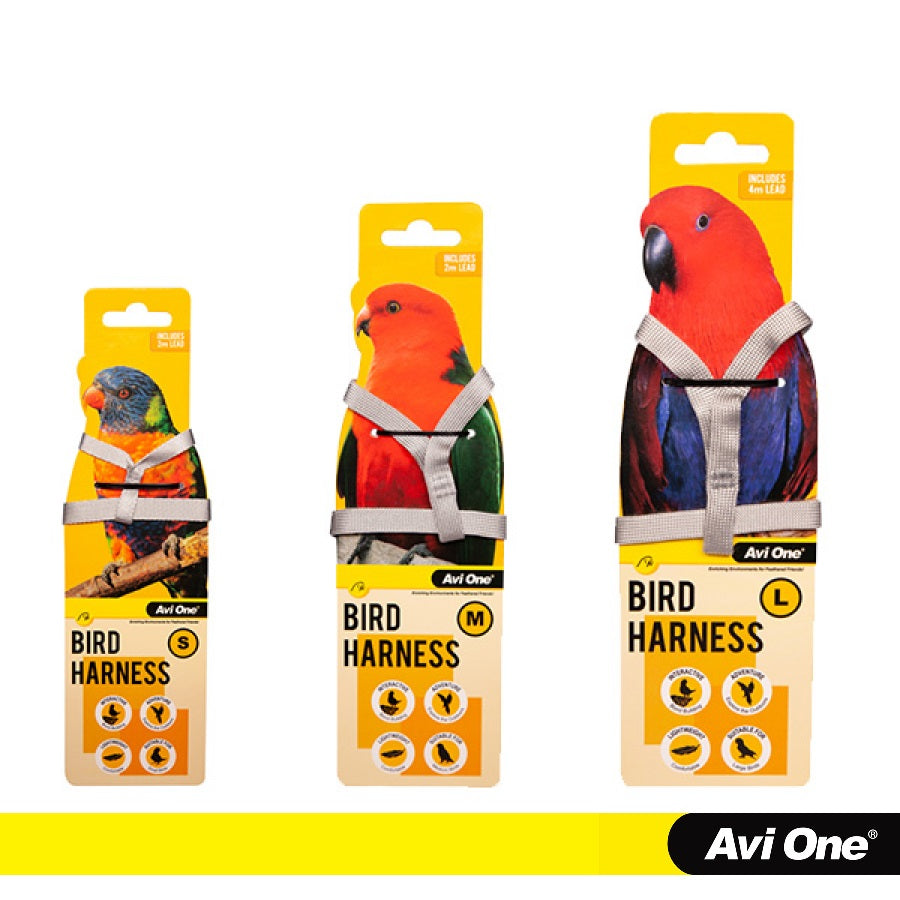 Avi One Bird Harness with Lead