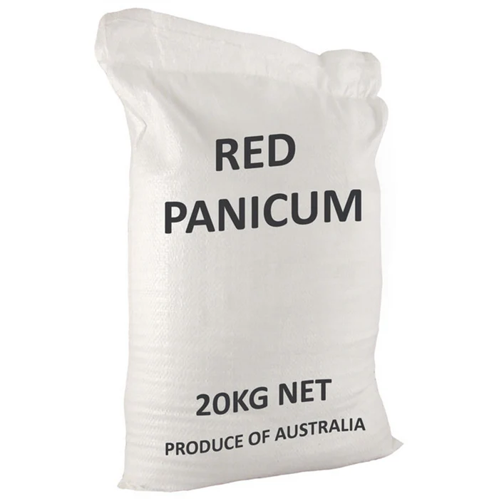 Panicum Red