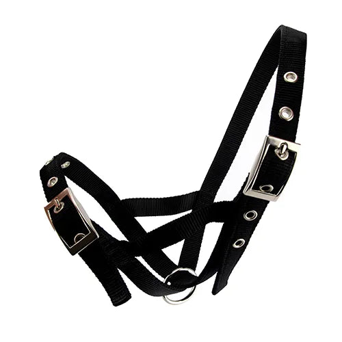 Bainbridge Cattle Halter Web