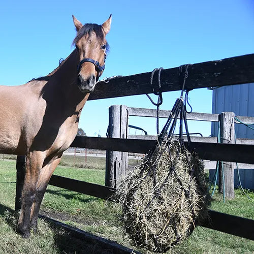 Bainbridge Hay Net Rope Heavy Duty