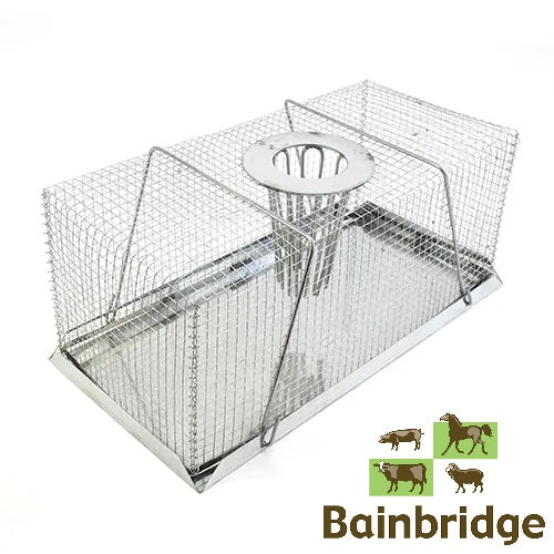 Bainbridge Mouse Trap Drop In