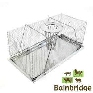 Bainbridge Mouse Trap Drop In