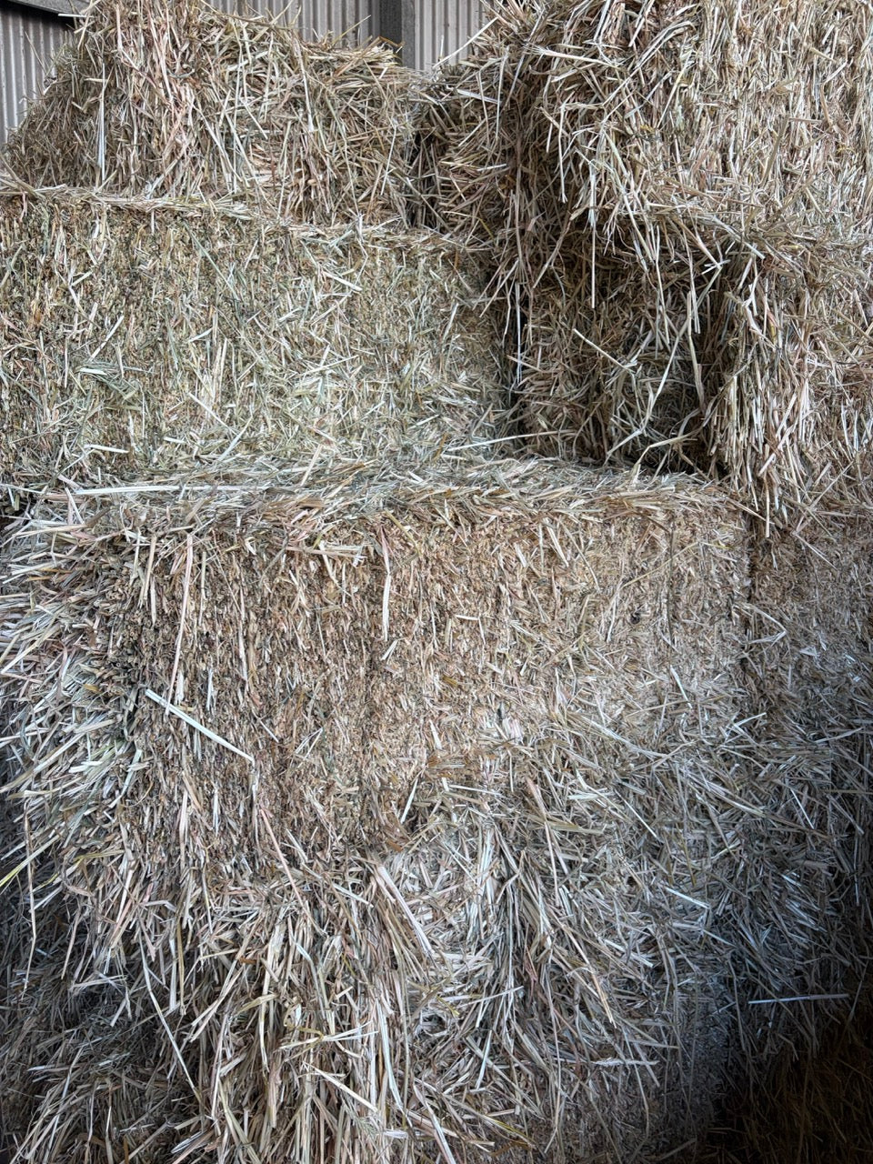 Barley Hay