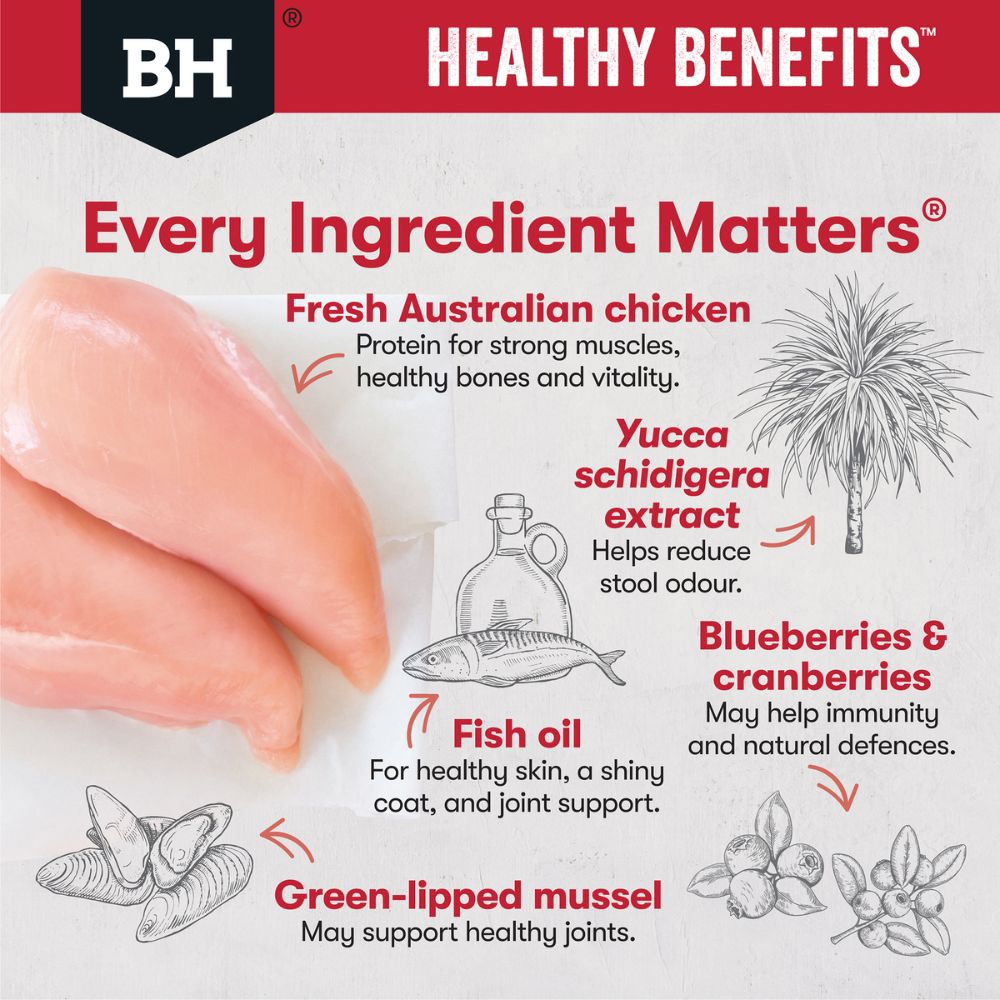 Black Hawk Healthy Benefits Joints and Muscles Dry Dog Food