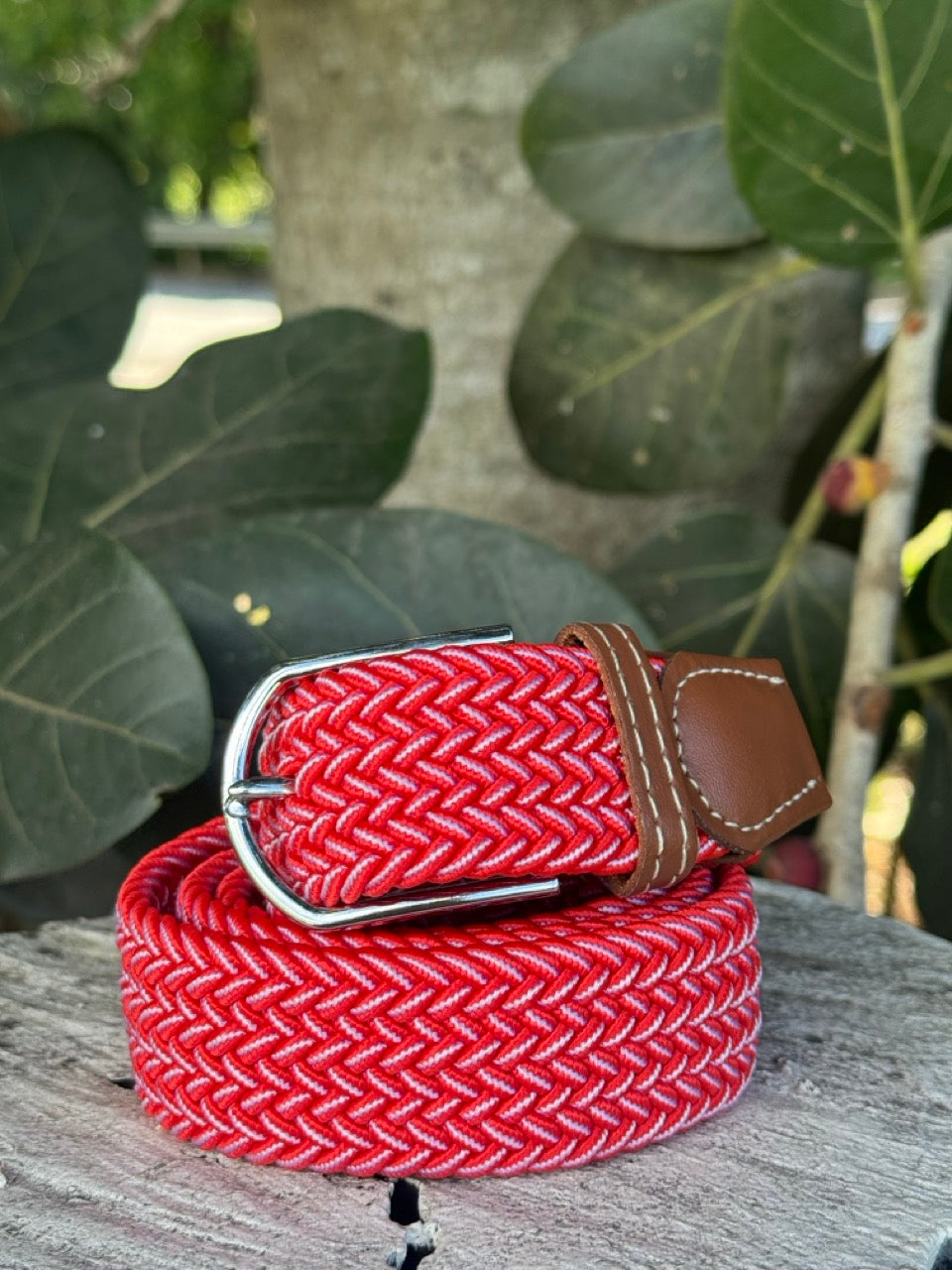 Brookies Braided Elasticised Belt