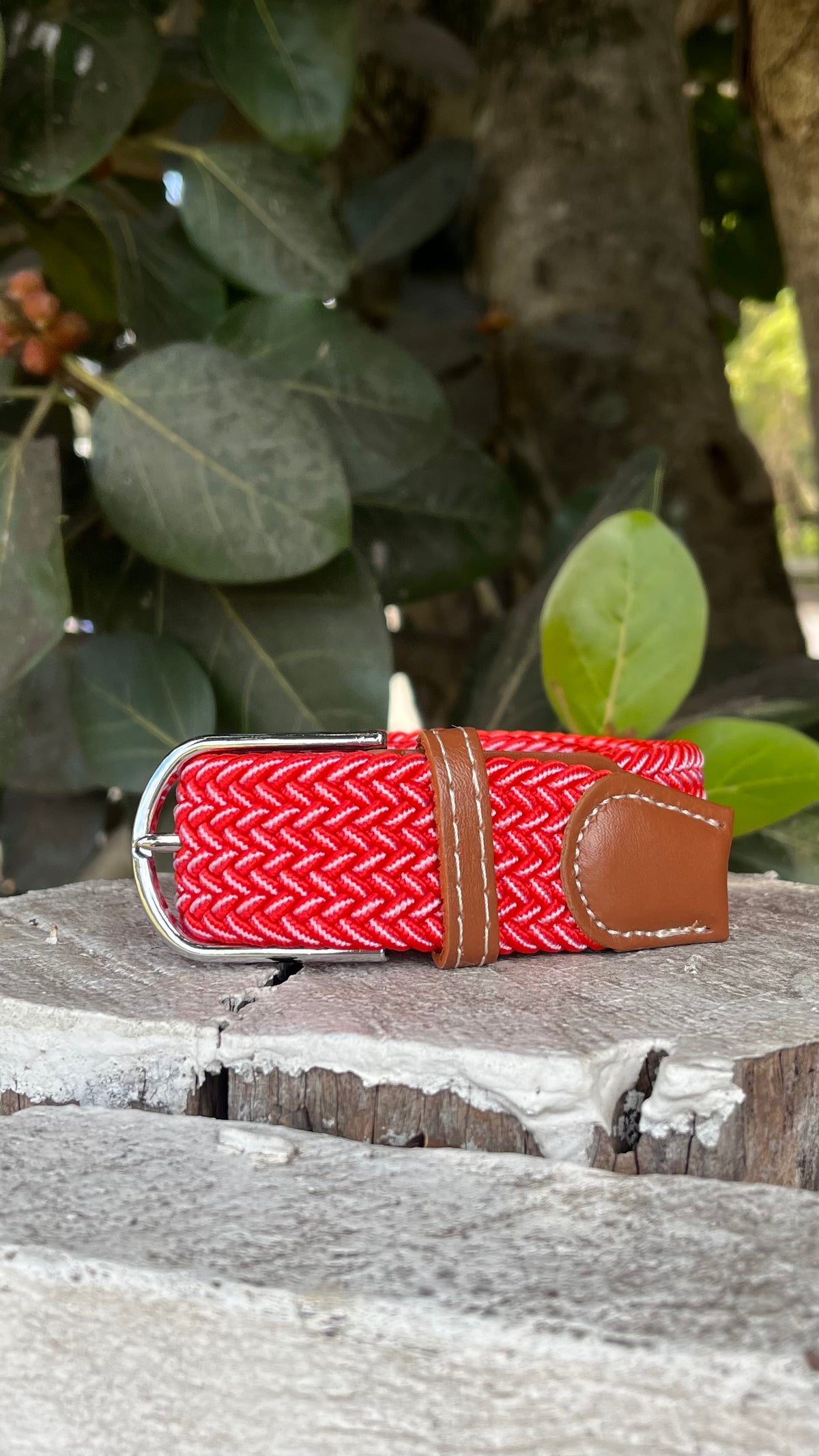 Brookies Braided Elasticised Belt