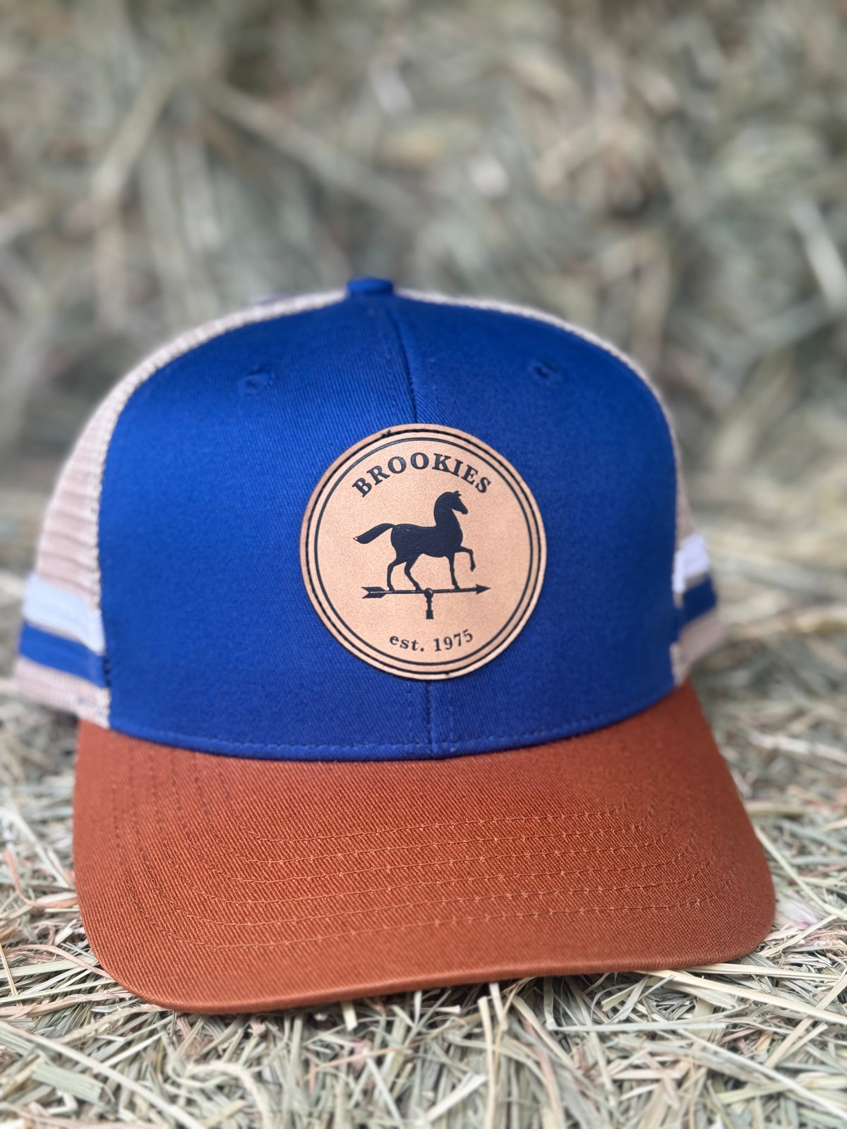 Brookies Trucker Cap